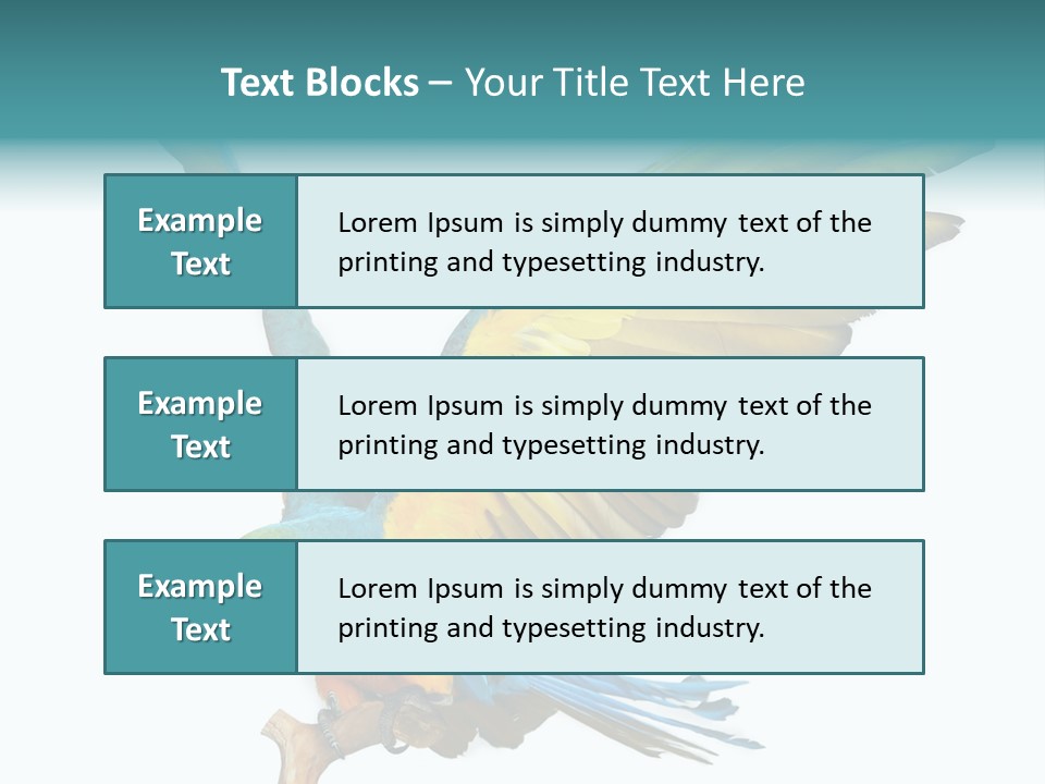 Wild White Bird PowerPoint Template