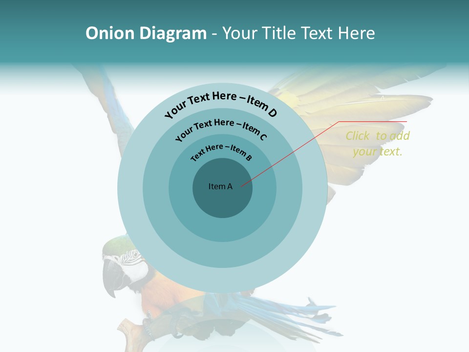 Wild White Bird PowerPoint Template