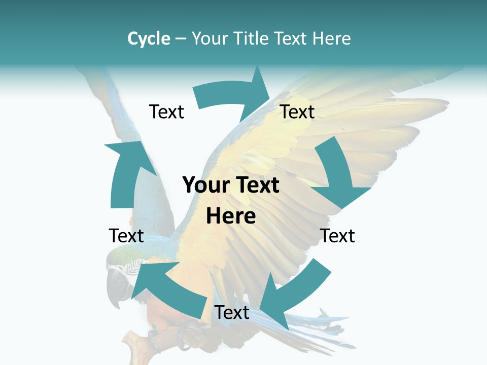 Wild White Bird PowerPoint Template