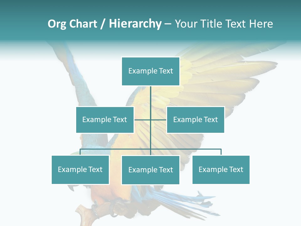 Wild White Bird PowerPoint Template