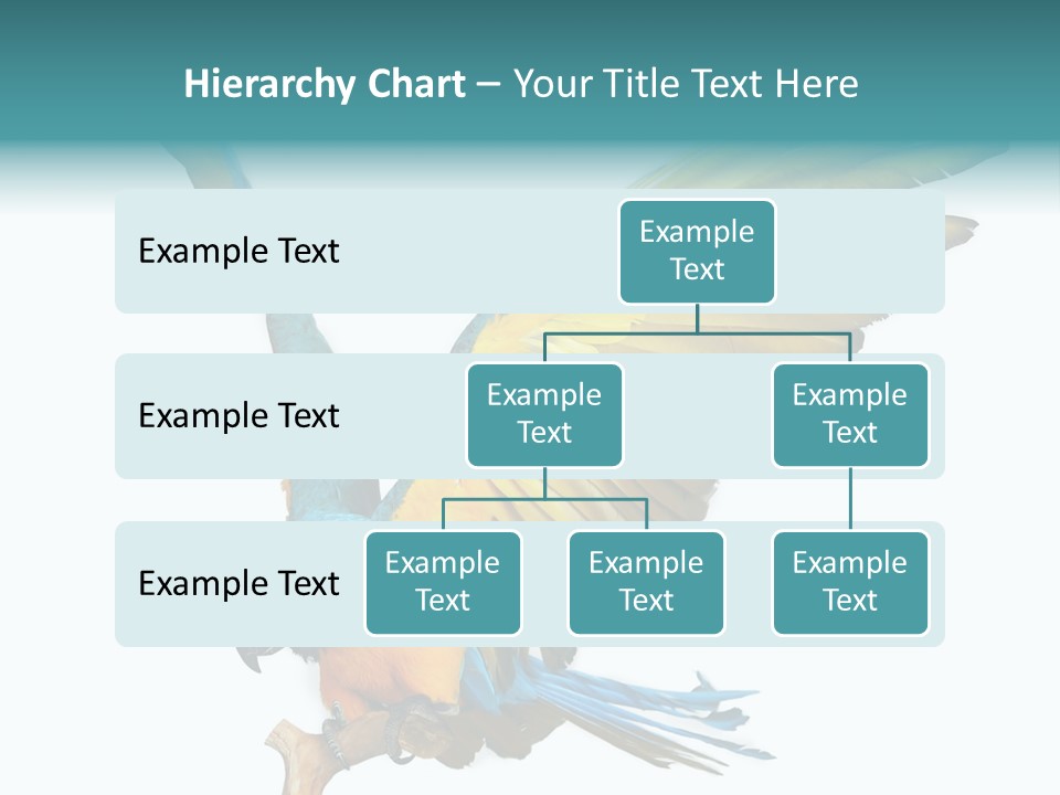 Wild White Bird PowerPoint Template