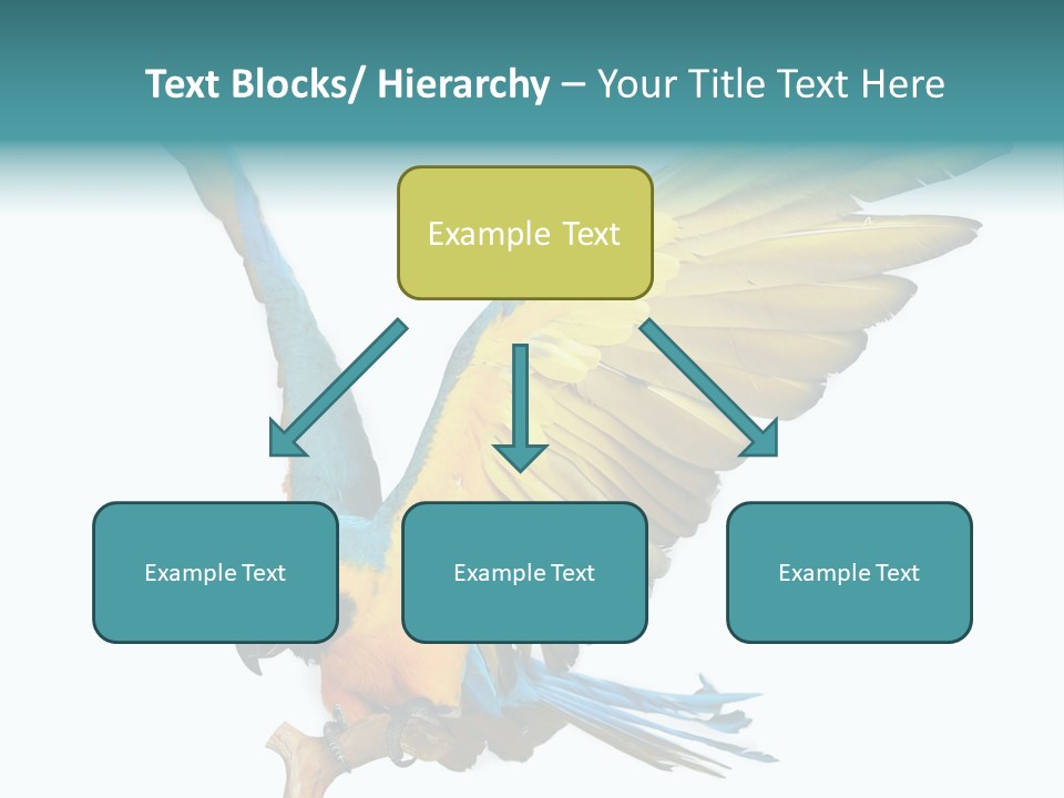 Wild White Bird PowerPoint Template