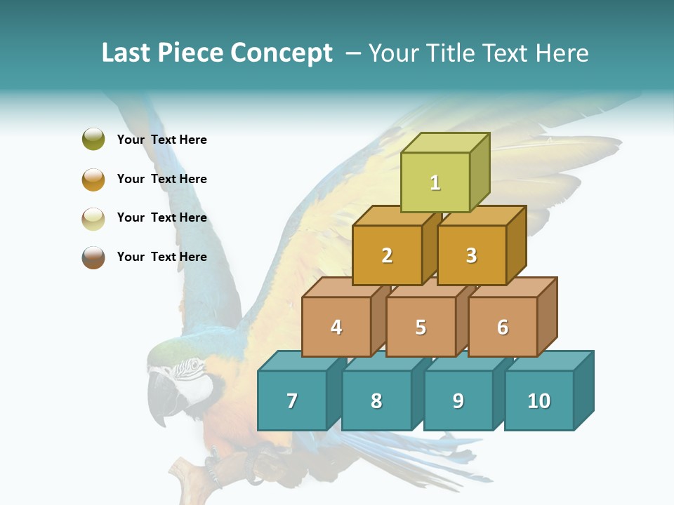 Wild White Bird PowerPoint Template