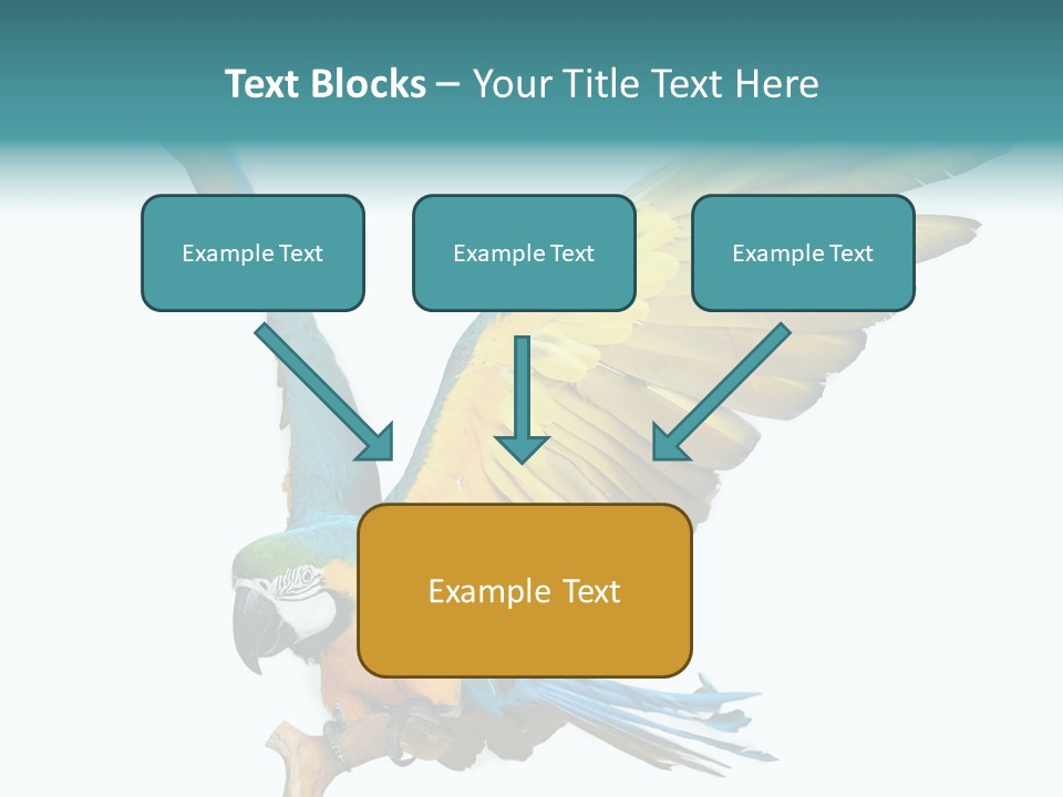 Wild White Bird PowerPoint Template