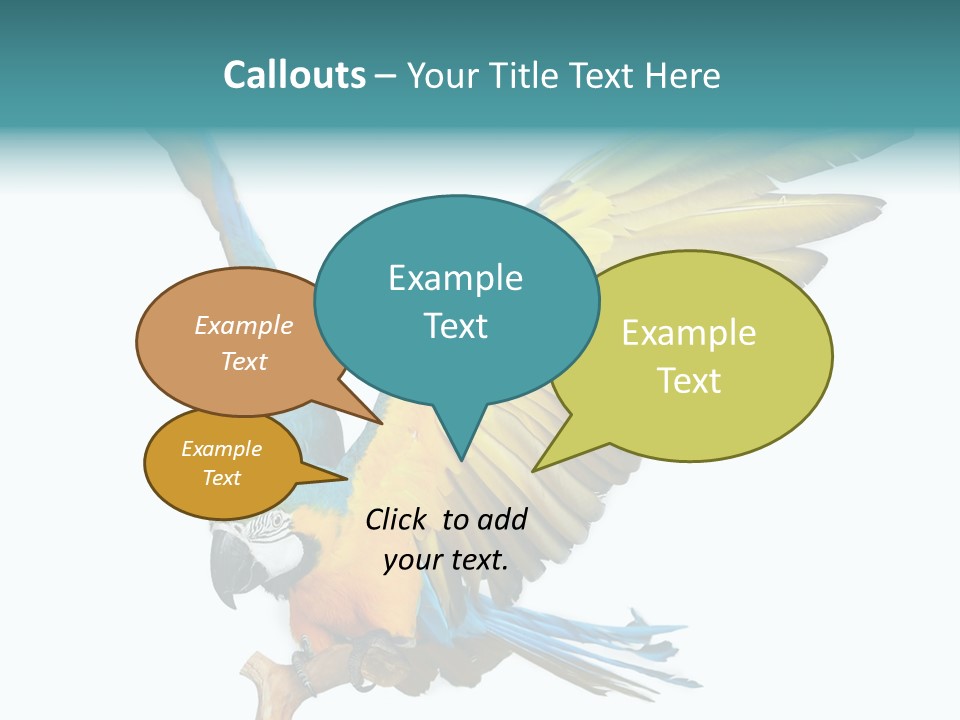 Wild White Bird PowerPoint Template