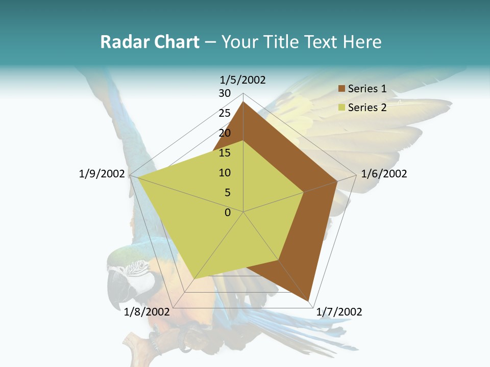 Wild White Bird PowerPoint Template
