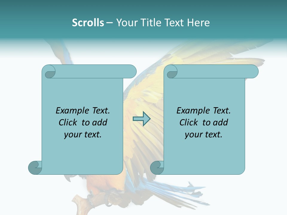 Wild White Bird PowerPoint Template