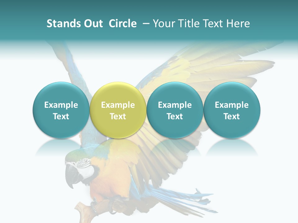 Wild White Bird PowerPoint Template