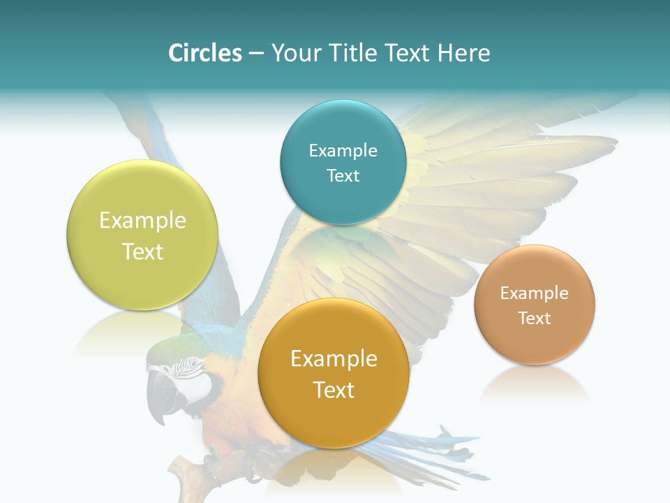 Wild White Bird PowerPoint Template