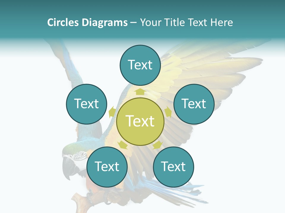 Wild White Bird PowerPoint Template