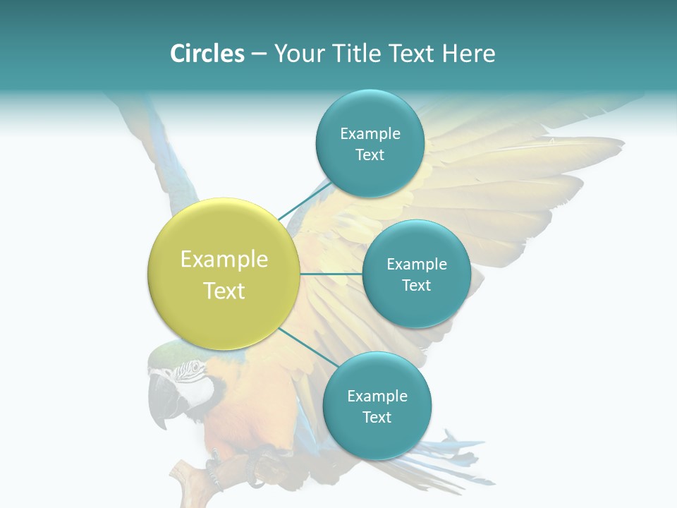 Wild White Bird PowerPoint Template