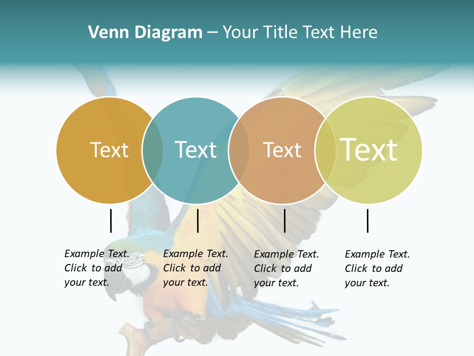 Wild White Bird PowerPoint Template