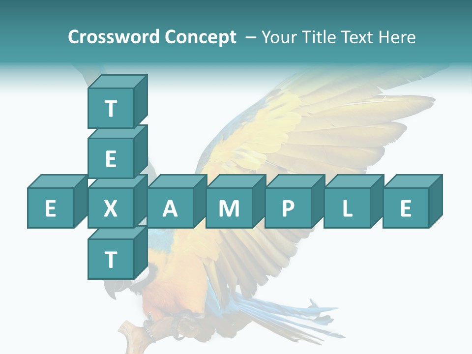 Wild White Bird PowerPoint Template