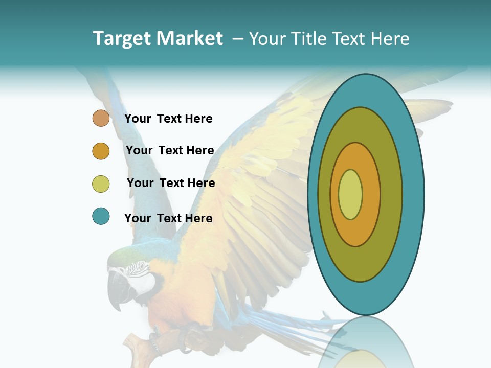 Wild White Bird PowerPoint Template