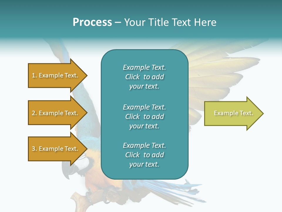 Wild White Bird PowerPoint Template