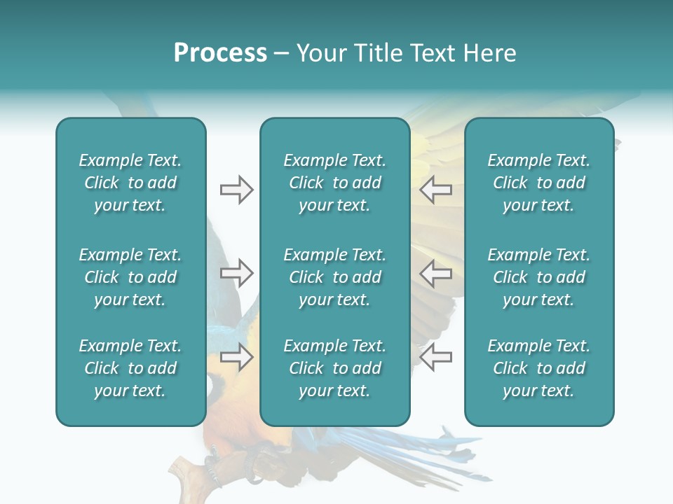 Wild White Bird PowerPoint Template