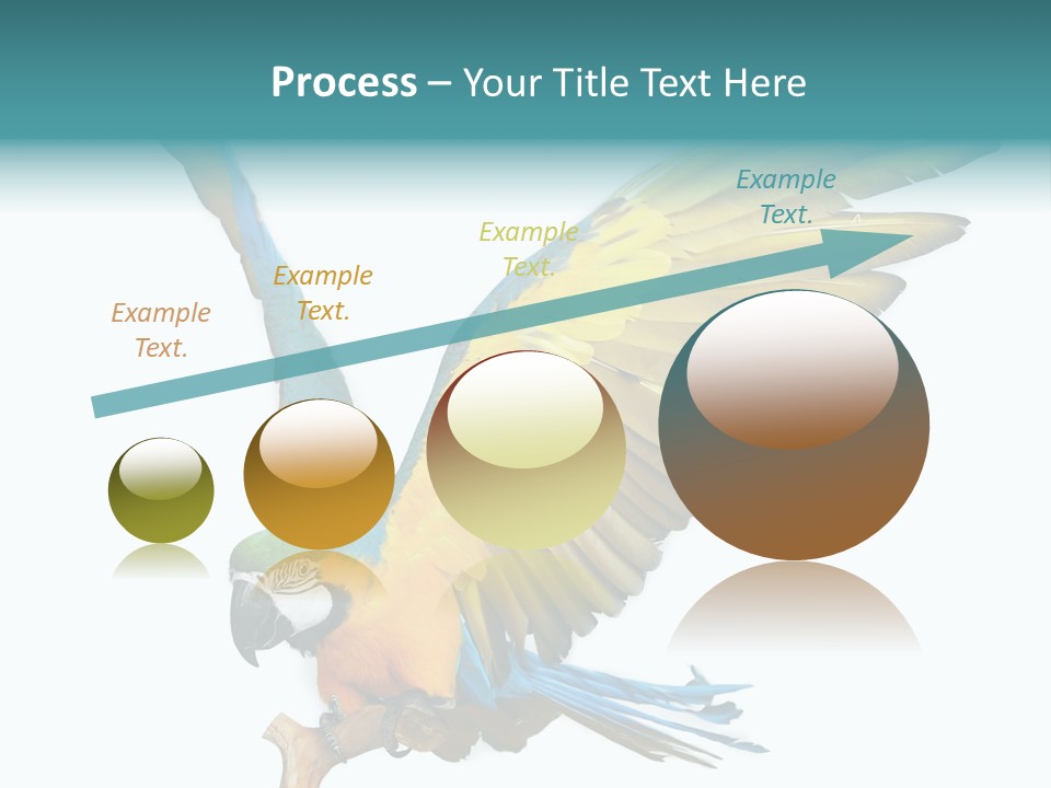 Wild White Bird PowerPoint Template