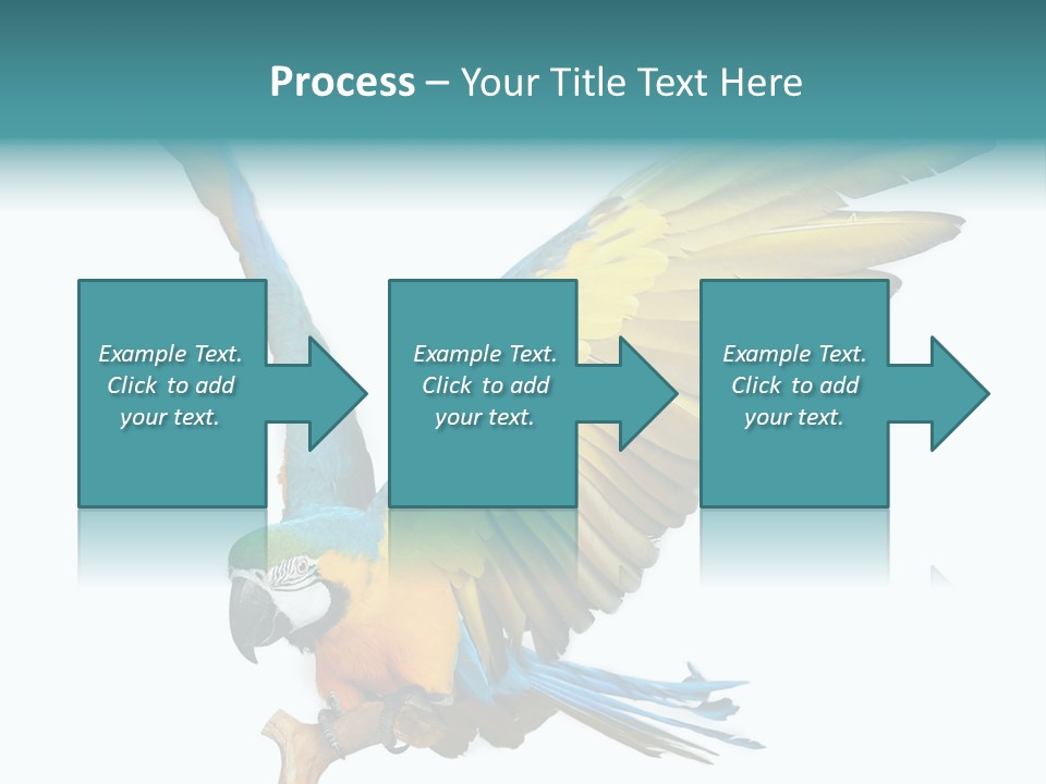 Wild White Bird PowerPoint Template