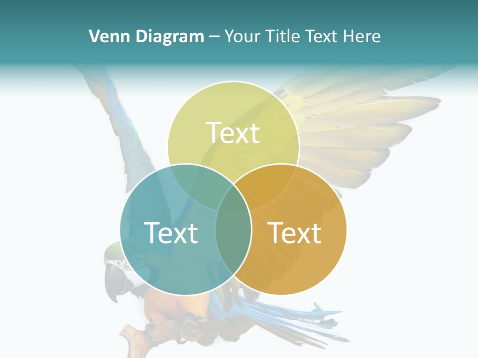 Wild White Bird PowerPoint Template