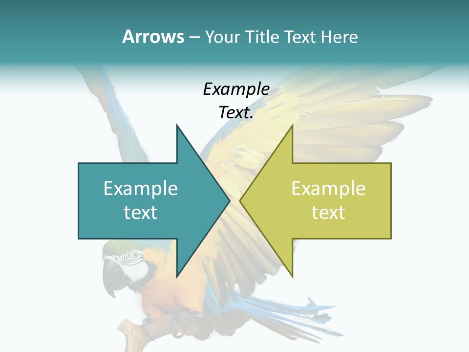 Wild White Bird PowerPoint Template