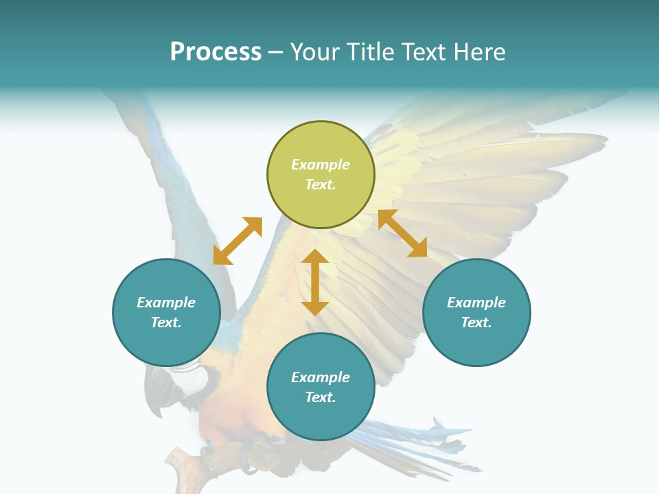 Wild White Bird PowerPoint Template