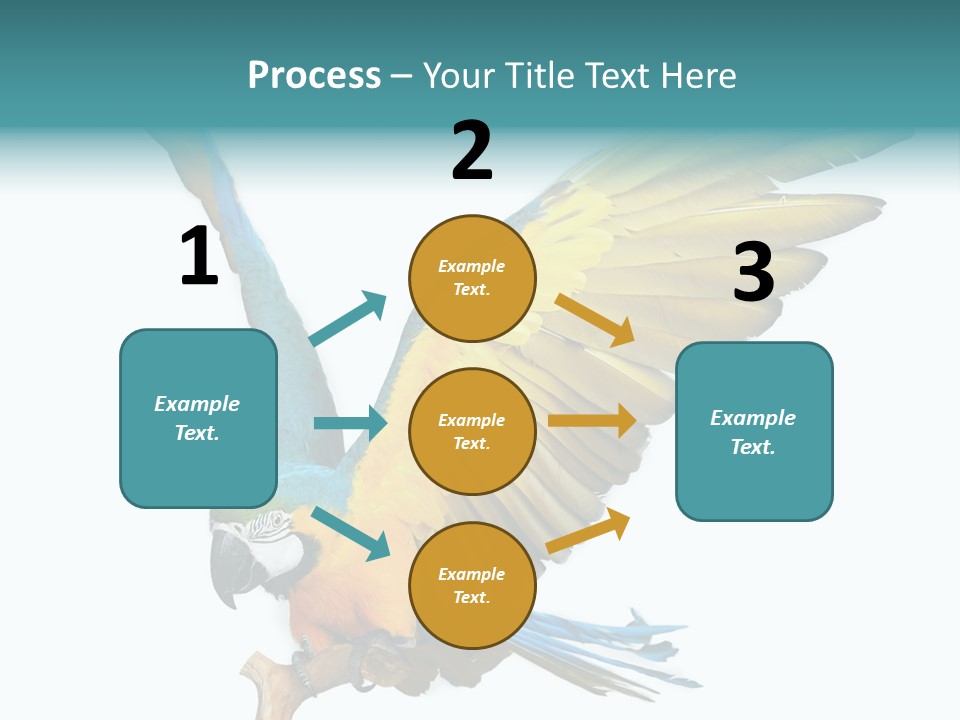 Wild White Bird PowerPoint Template