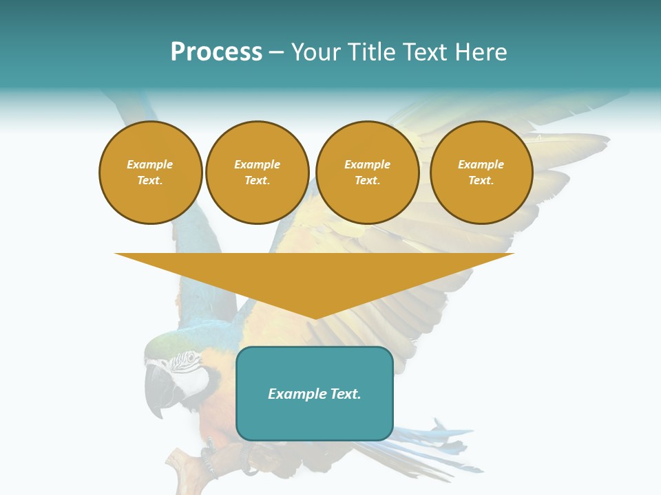 Wild White Bird PowerPoint Template