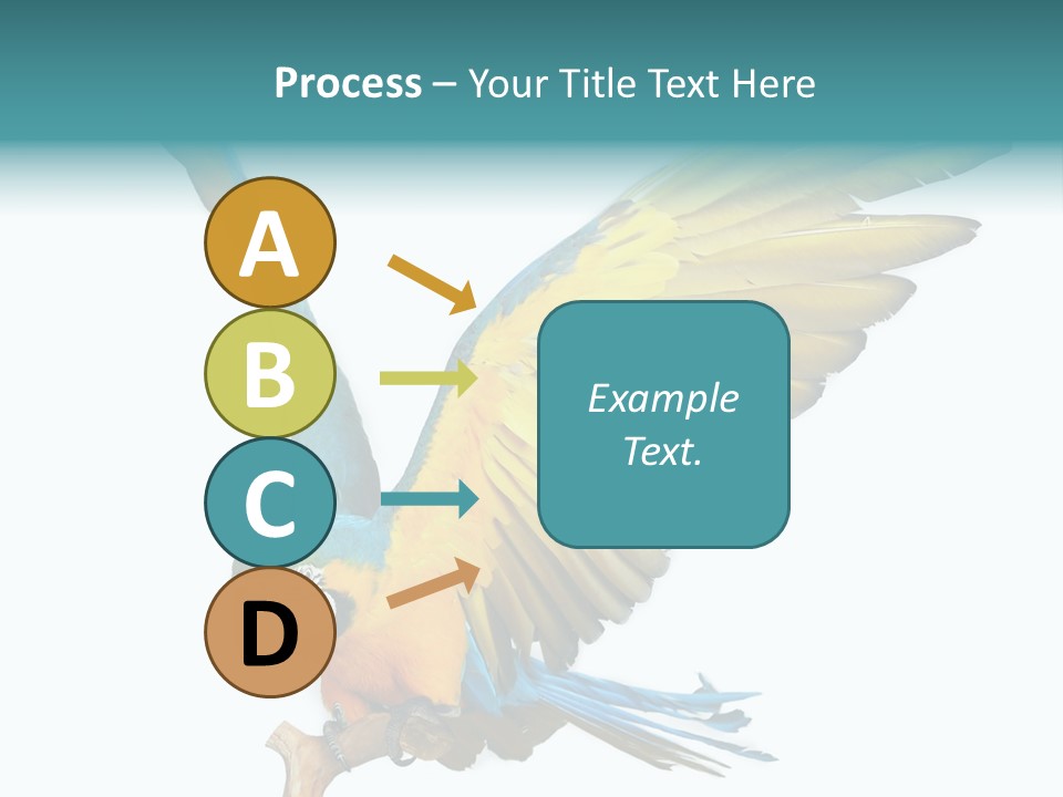 Wild White Bird PowerPoint Template