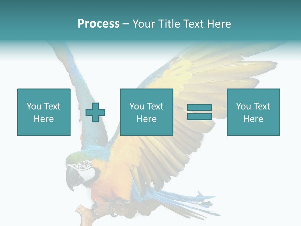 Wild White Bird PowerPoint Template