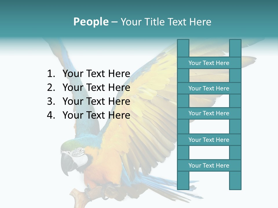 Wild White Bird PowerPoint Template
