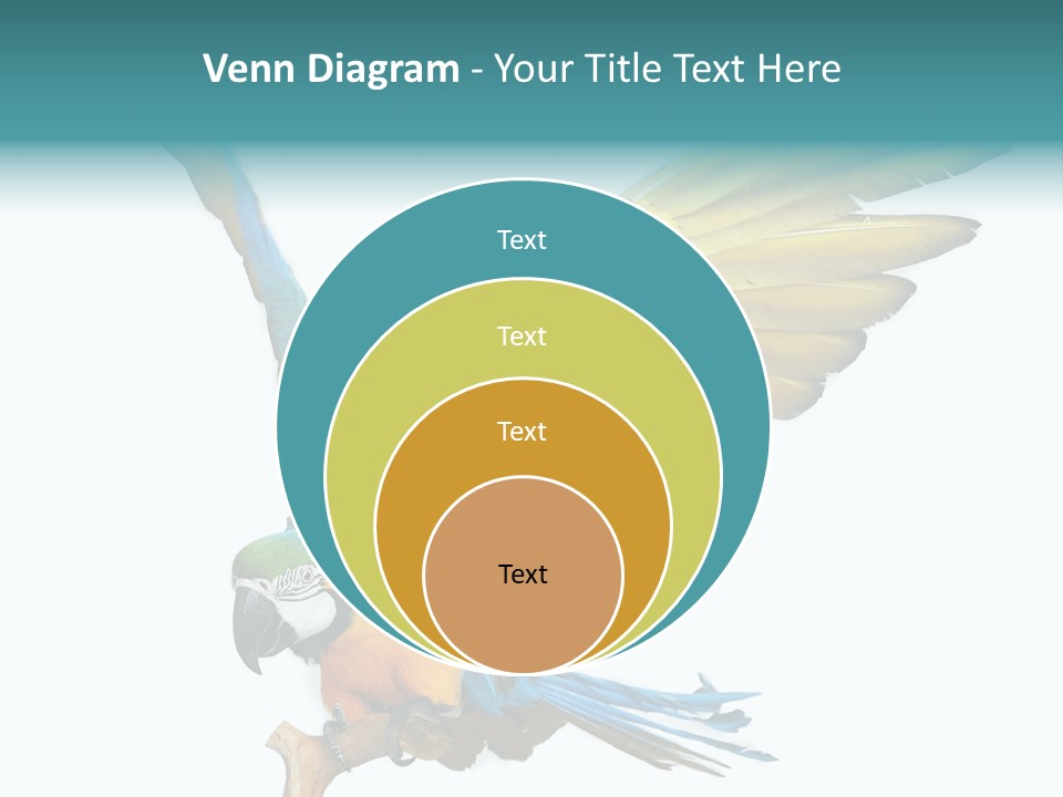 Wild White Bird PowerPoint Template