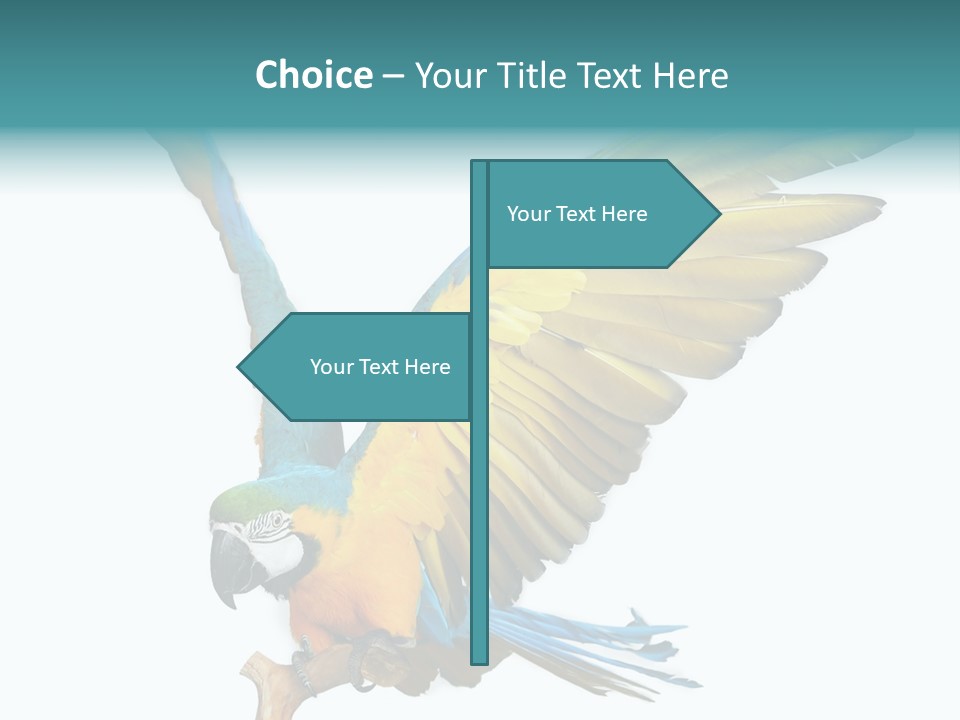 Wild White Bird PowerPoint Template