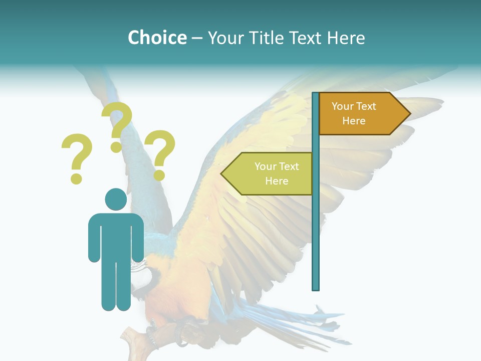 Wild White Bird PowerPoint Template