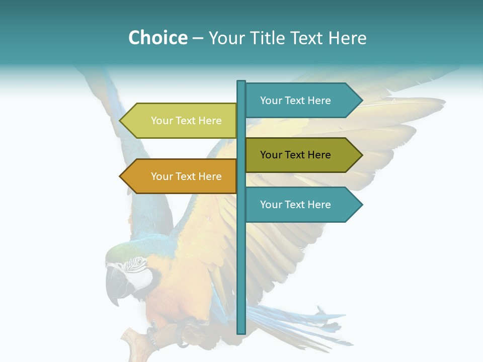 Wild White Bird PowerPoint Template