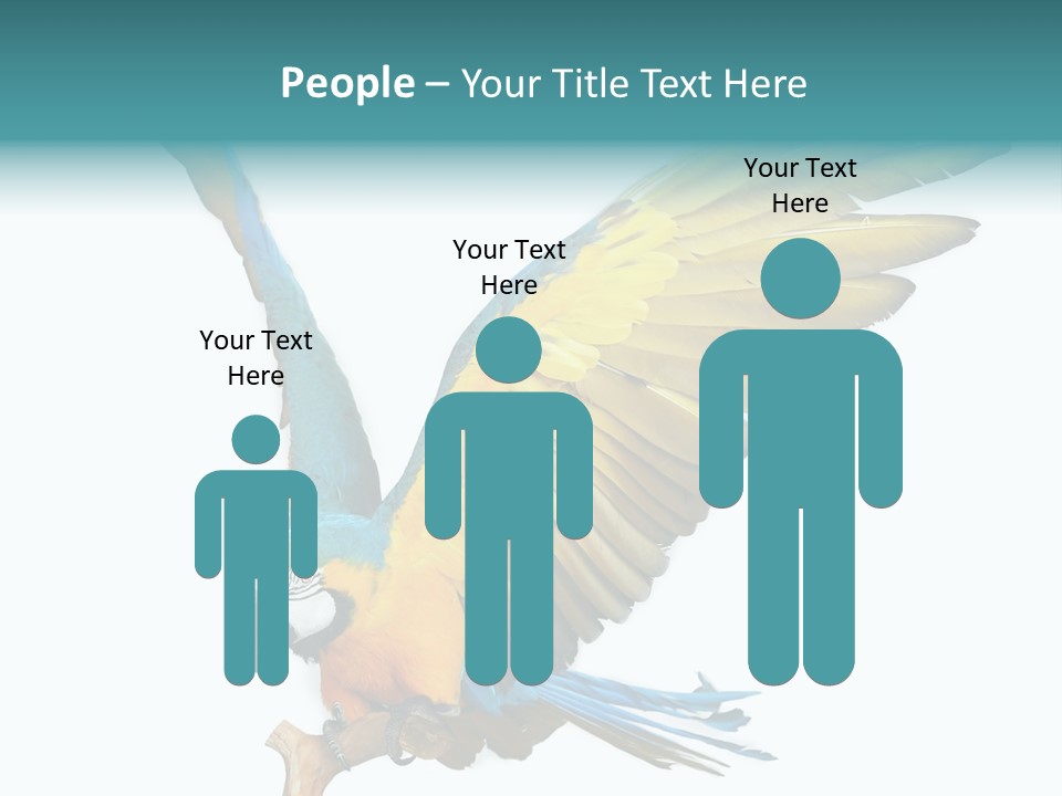 Wild White Bird PowerPoint Template