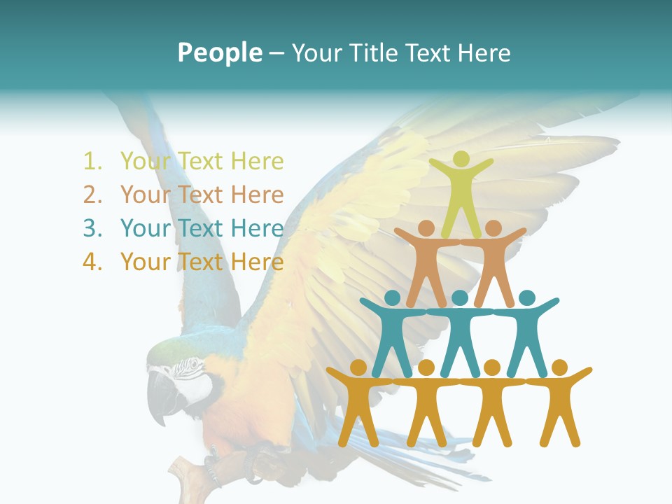 Wild White Bird PowerPoint Template