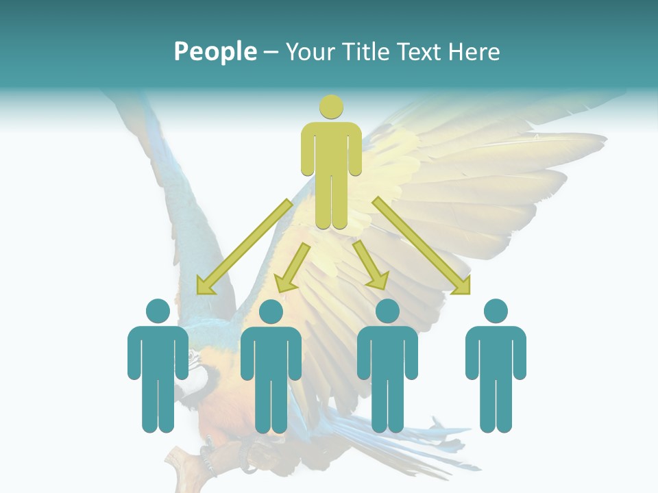 Wild White Bird PowerPoint Template