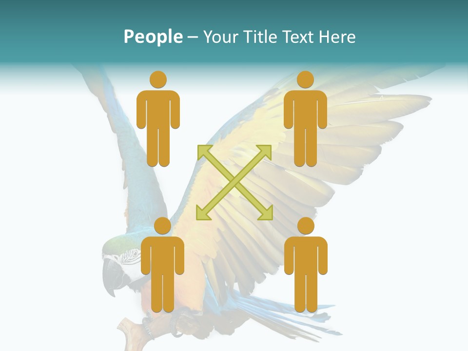 Wild White Bird PowerPoint Template