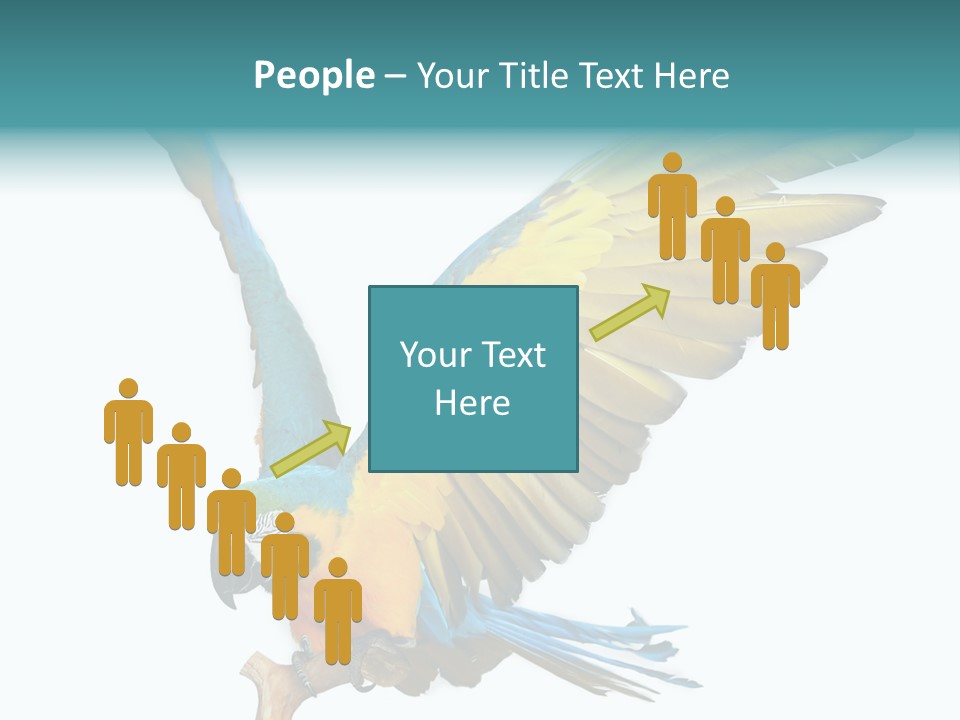 Wild White Bird PowerPoint Template