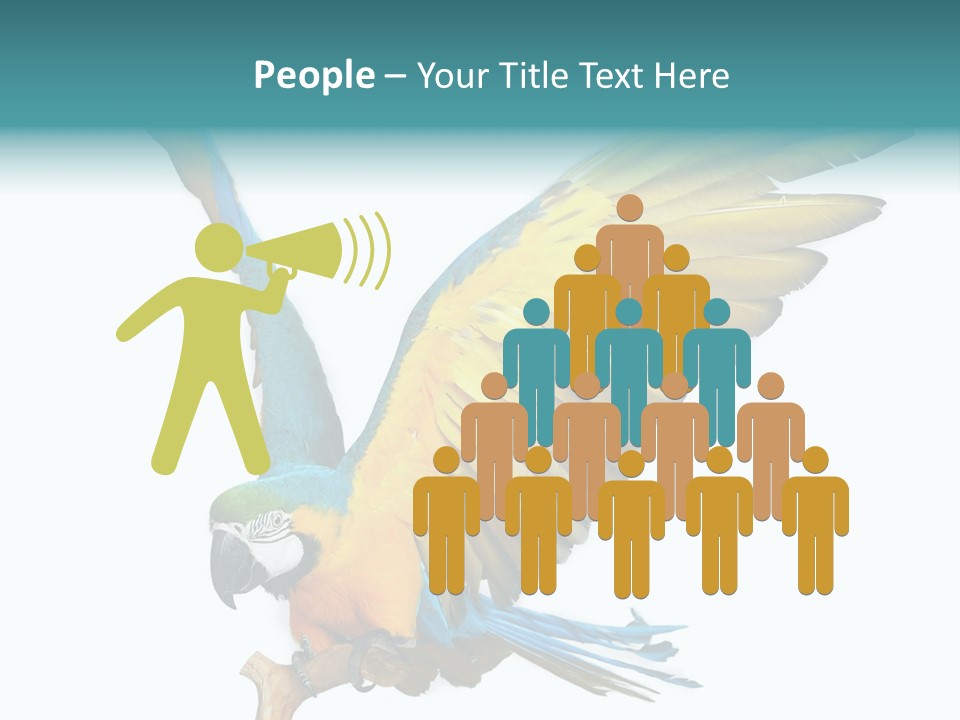 Wild White Bird PowerPoint Template