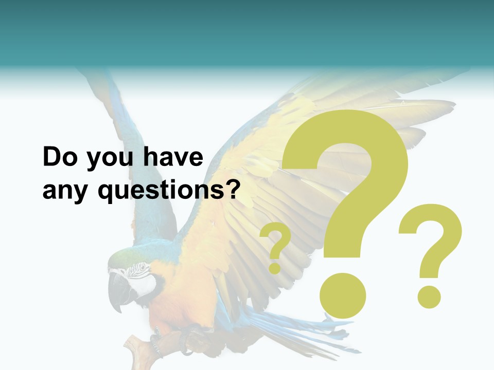 Wild White Bird PowerPoint Template