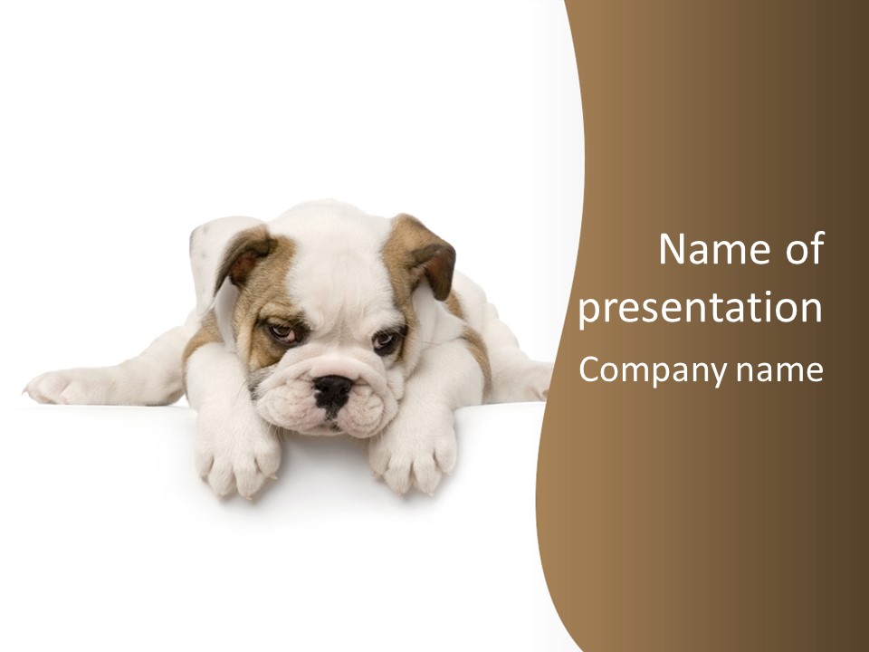 Humour Purebred Dog Friend PowerPoint Template