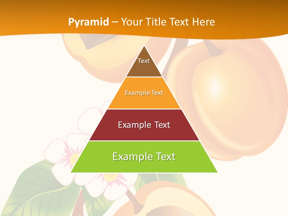 Style Cabinet Couture PowerPoint Template