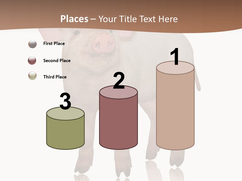Image Shot Pig PowerPoint Template