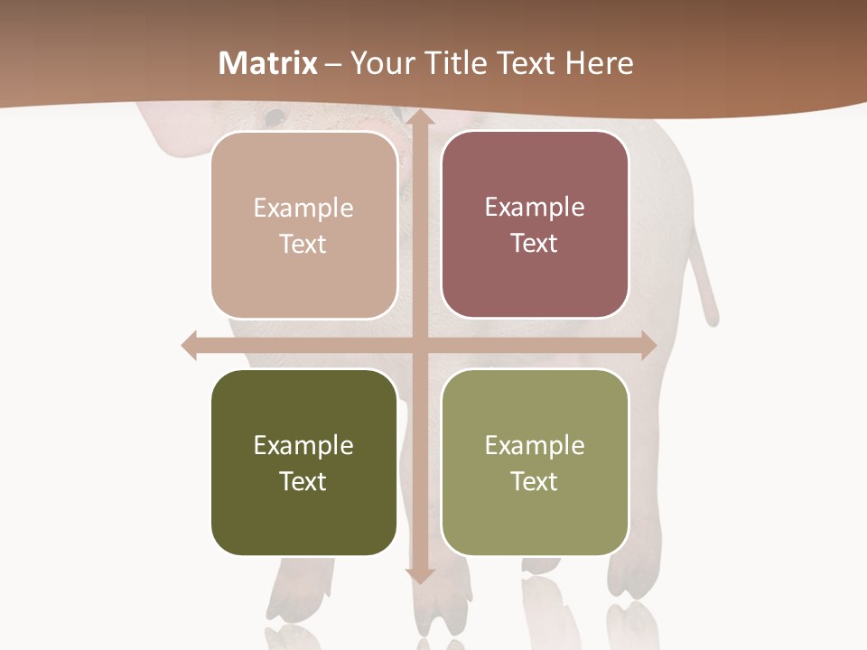 Image Shot Pig PowerPoint Template