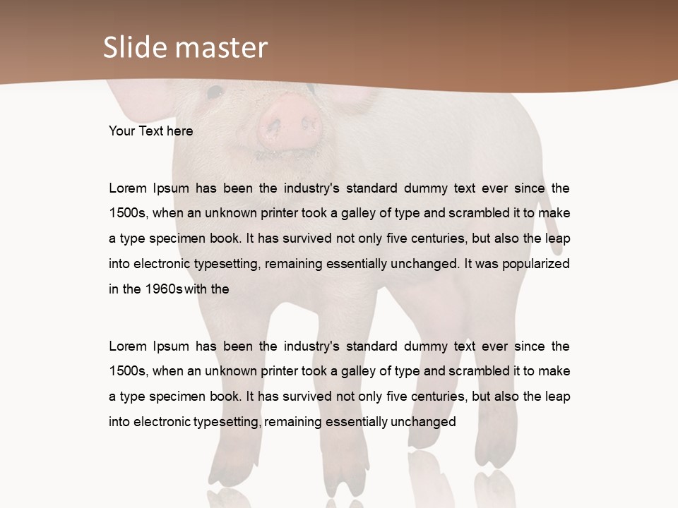 Image Shot Pig PowerPoint Template