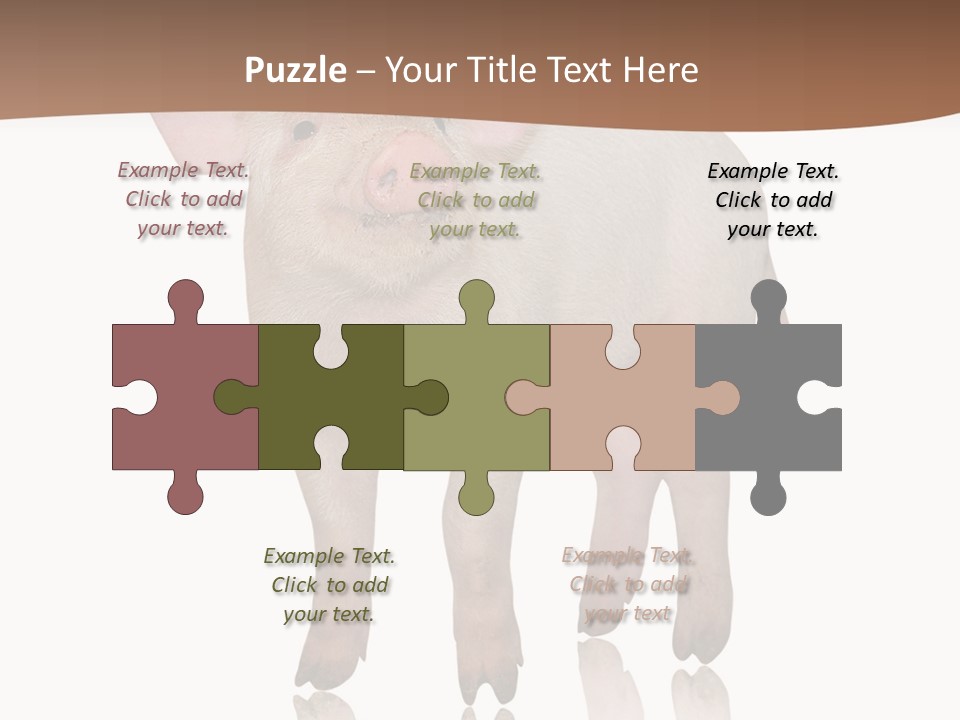 Image Shot Pig PowerPoint Template