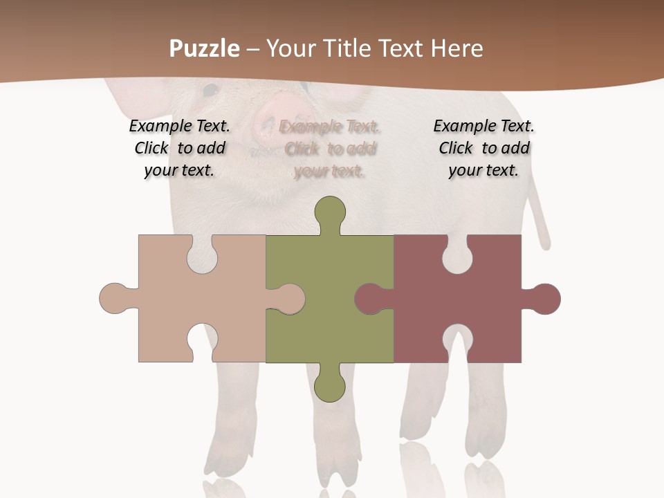 Image Shot Pig PowerPoint Template