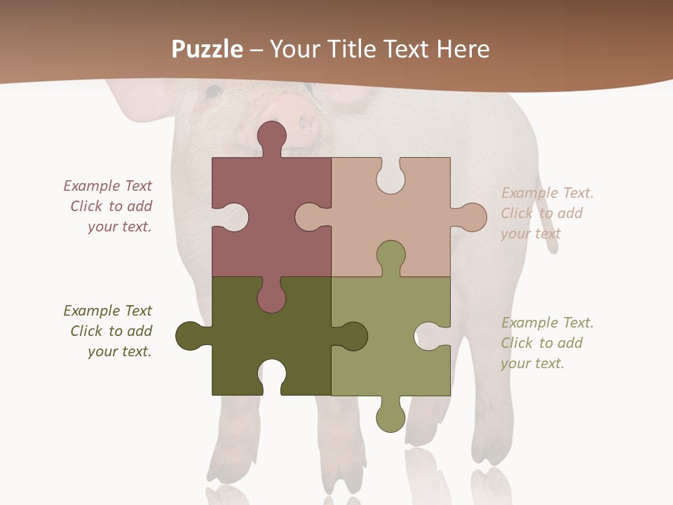 Image Shot Pig PowerPoint Template