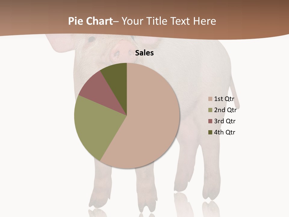 Image Shot Pig PowerPoint Template